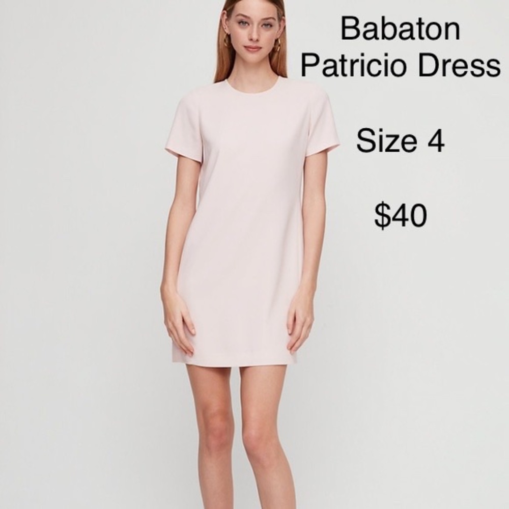 Aritzia Babaton Patricio Dress